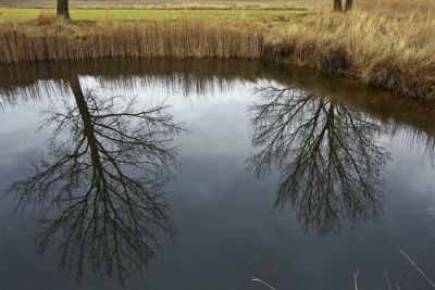 Lagunas de Ballesteros