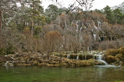 Cuervo River Spring