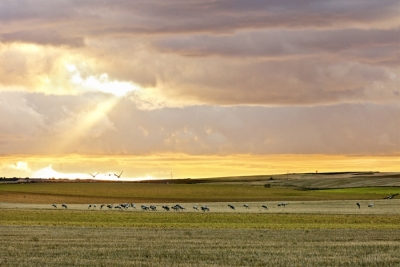 Laguna de El Hito